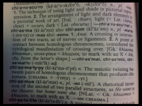 Dictionary page showing the entry for chiasmus and related words