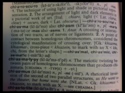 Dictionary page showing the entry for chiasmus and related words