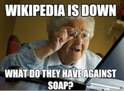 Screenshot of meme featuring an elderly woman looking at computer with text Wikipedia is Down, What Do They Have Against Soap?